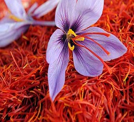  saffron